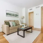 Alquilo 1 dormitorio apartamento de 60 m² en madrid