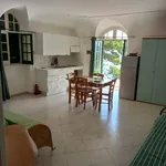 Rent 2 bedroom apartment of 50 m² in Capri