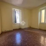 Rent 3 bedroom apartment of 80 m² in Tivoli