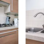 Huur 2 slaapkamer appartement van 110 m² in Amsterdam