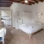 Rent 1 bedroom apartment of 34 m² in milan