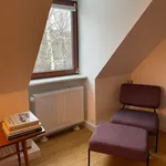 Rent 1 bedroom apartment of 50 m² in Hanover