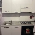 Rent 1 bedroom apartment of 40 m² in Pisa