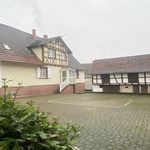 Rent 1 bedroom apartment in Wintzenbach