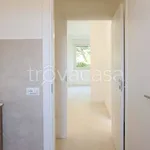 Rent 3 bedroom apartment of 95 m² in Sassari