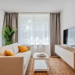 Rent 1 bedroom apartment of 62 m² in Berlin