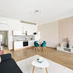 Rent 1 bedroom apartment of 46 m² in Budapest