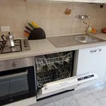 Rent 2 bedroom apartment of 60 m² in Piacenza