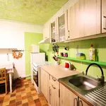 Rent 1 bedroom apartment in Brno