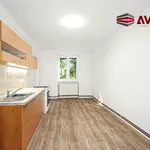 Rent 1 bedroom apartment of 42 m² in Opava