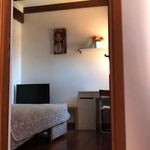 Rent a room in Bologna