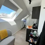 Rent 1 bedroom apartment in Leuven