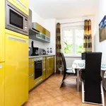 Rent 1 bedroom apartment in berlin