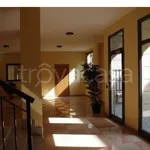 Rent 2 bedroom apartment of 75 m² in Torino