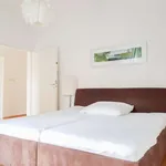 Rent 2 bedroom apartment of 80 m² in berlin