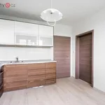 Pronajměte si 2 ložnic/e byt o rozloze 36 m² v Plzeň