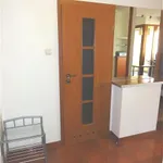 Rent 2 bedroom apartment of 50 m² in Łódź