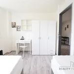 Rent 2 bedroom apartment in Brno