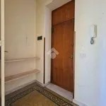 Rent 4 bedroom apartment of 110 m² in Palermo