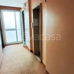 Rent 1 bedroom apartment of 30 m² in Milano