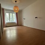 Pronajměte si 1 ložnic/e byt o rozloze 102 m² v Praha