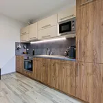 Rent 1 bedroom apartment in Uherské Hradiště