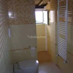 Rent 3 bedroom apartment of 50 m² in Siena