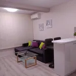 Rent 2 bedroom apartment of 65 m² in Каменица 1