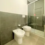 Rent 1 bedroom apartment in Milan