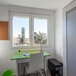 Alquilar 5 dormitorio apartamento en Valencia