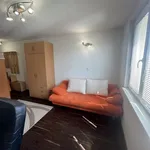 Pronajměte si 1 ložnic/e byt o rozloze 29 m² v Pilsen