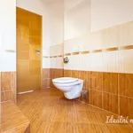 Rent 2 bedroom apartment of 55 m² in Capital City of Prague