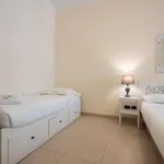 Rent 1 bedroom apartment in Rome