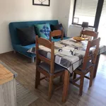 Rent 1 bedroom apartment of 30 m² in Figueiró dos Vinhos