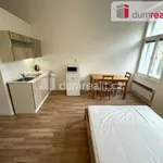 Rent 1 bedroom apartment in Capital City of Prague