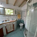 Rent 5 bedroom house of 100 m² in Trevignano Romano