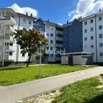 Rent 2 bedroom apartment of 36 m² in Gorzów Wielkopolski