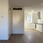 Rent 3 bedroom house of 120 m² in Veldhoven