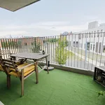 Rent 1 bedroom apartment in Antwerpen