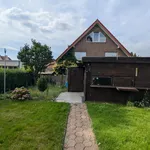 Rent 2 bedroom apartment of 55 m² in Herten