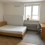 Rent 2 bedroom apartment of 61 m² in Ostrava