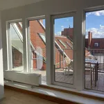 Rent 3 bedroom apartment of 156 m² in berlin