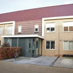 Rent 5 bedroom house of 120 m² in Schuytgraaf-Noord