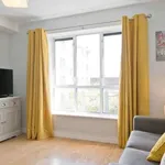 Rent 1 bedroom apartment in dublin