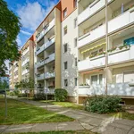 Wohnung über 58 m² in Dresden