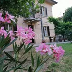 Rent 3 bedroom apartment of 100 m² in Spello