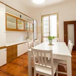 Rent 4 bedroom apartment in Bologna