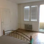 Rent 1 bedroom apartment in České Budějovice