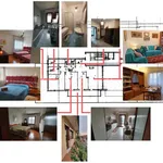 Rent 3 bedroom apartment of 105 m² in Padova