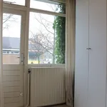 Huur 4 slaapkamer huis van 165 m² in Sassenheim